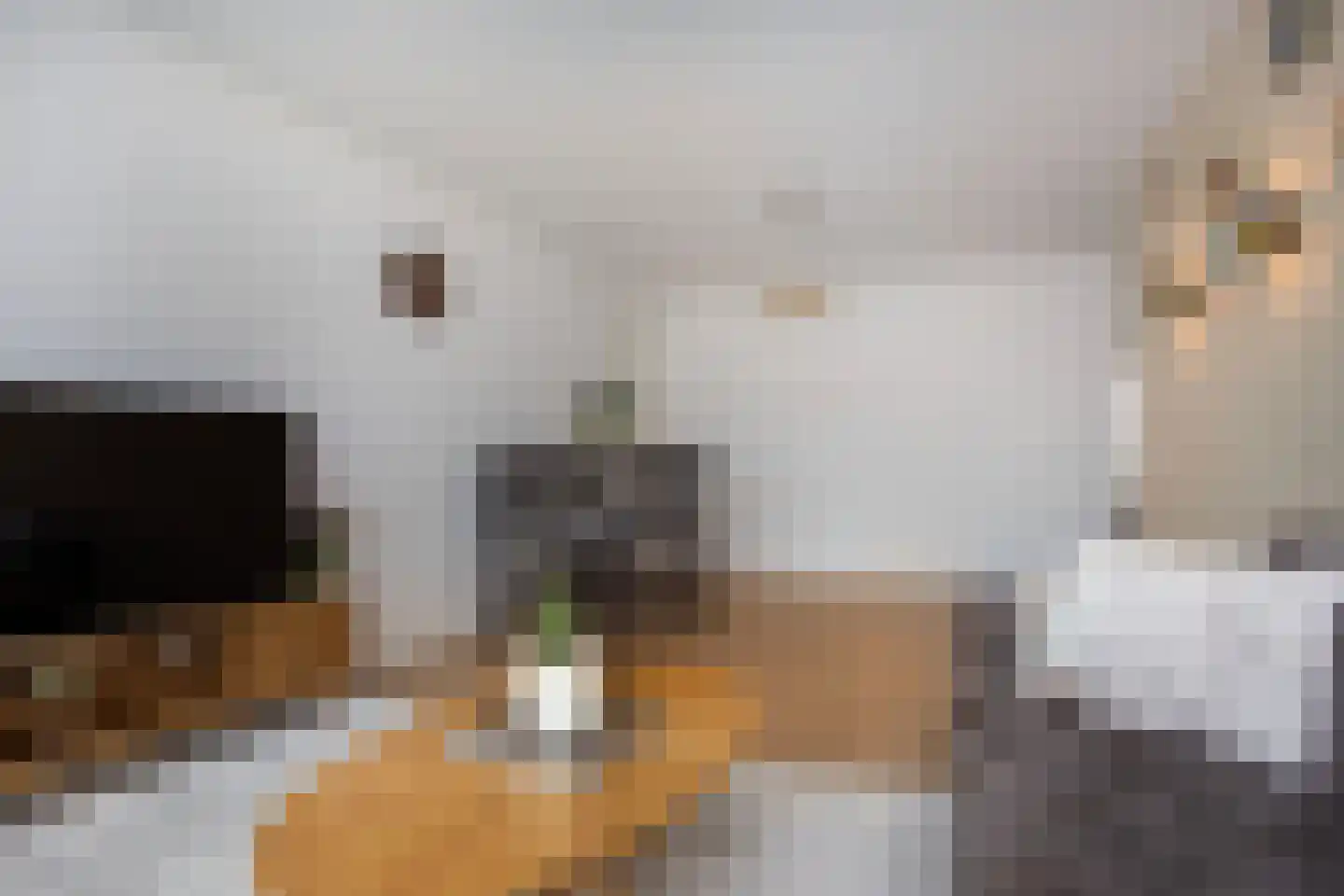 Agavedreef 38 Utrecht thumbnail 12