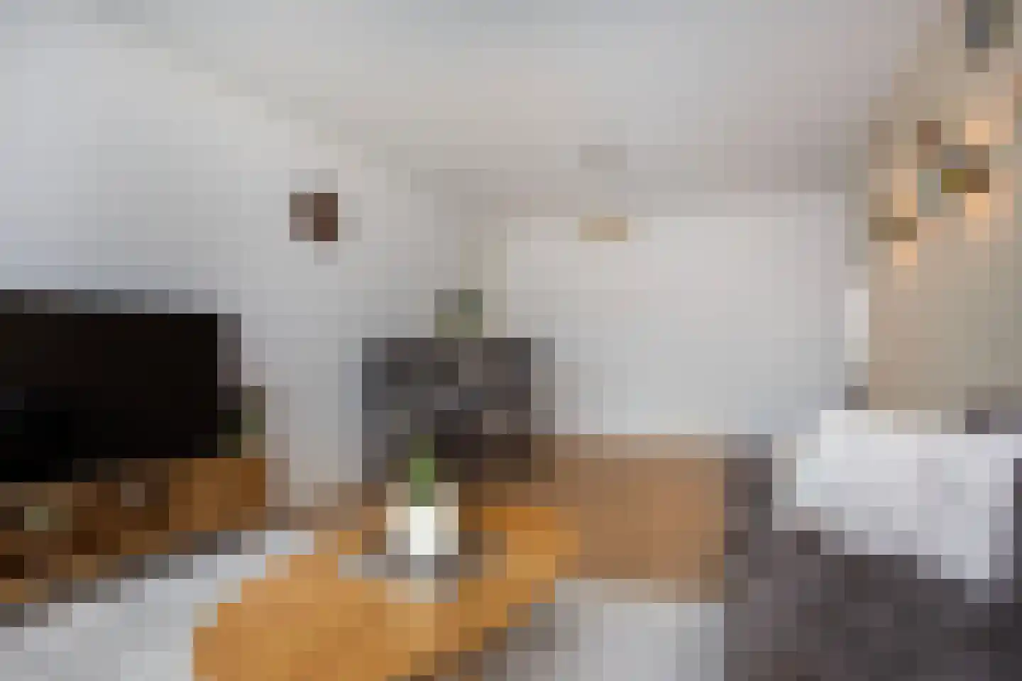 Agavedreef 38 Utrecht thumbnail 12