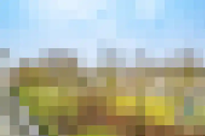 Agavedreef 47 Utrecht thumbnail 10