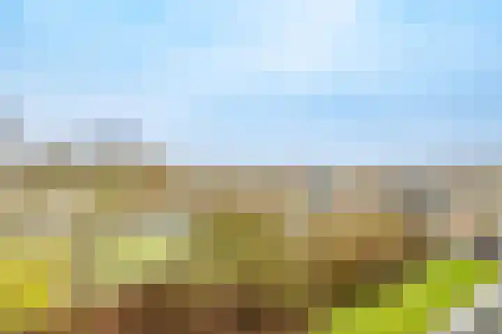 Agavedreef 47 Utrecht thumbnail 11