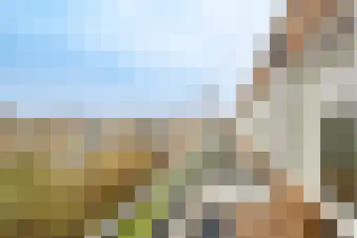 Agavedreef 47 Utrecht thumbnail 12