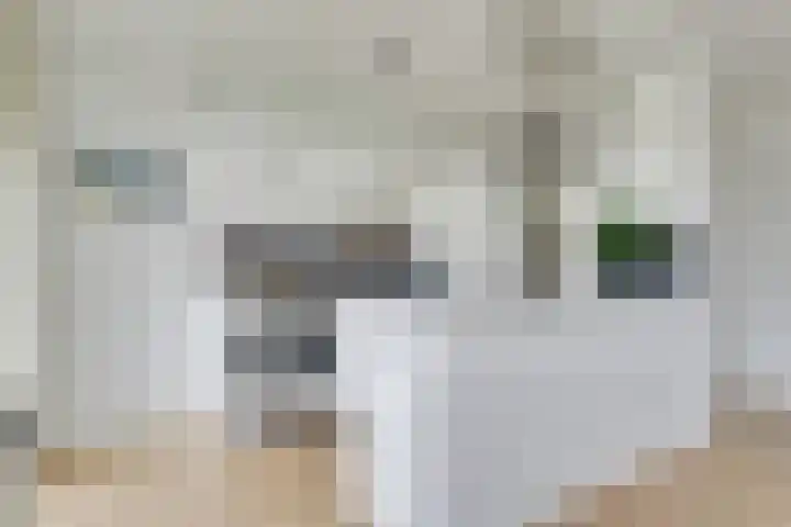 Agavedreef 47 Utrecht thumbnail 14