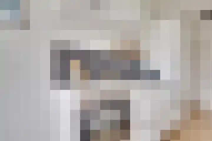 Agavedreef 47 Utrecht thumbnail 15