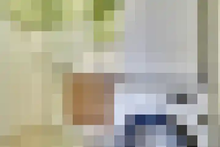 Agavedreef 47 Utrecht thumbnail 23