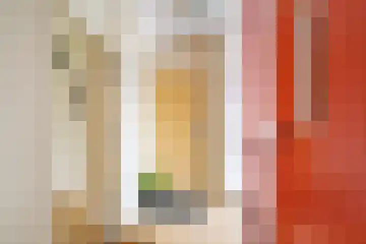 Agavedreef 47 Utrecht thumbnail 26