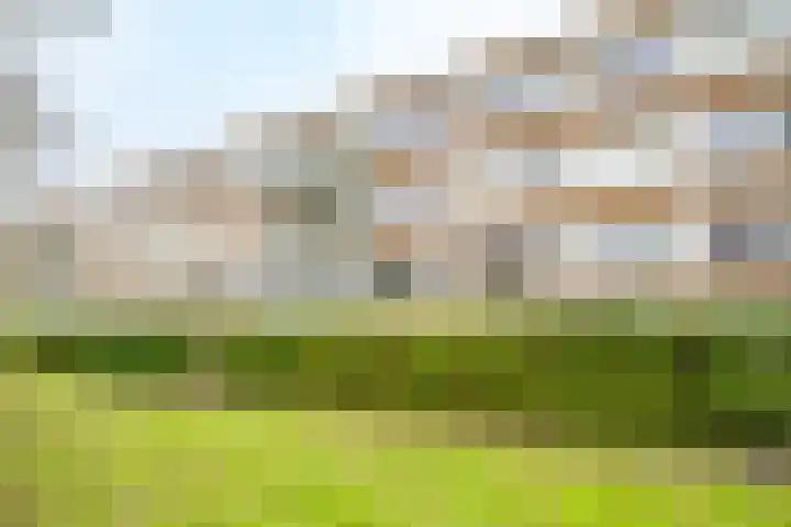 Agavedreef 47 Utrecht thumbnail 29