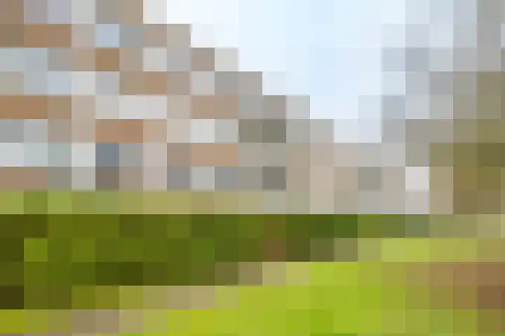 Agavedreef 47 Utrecht thumbnail 30