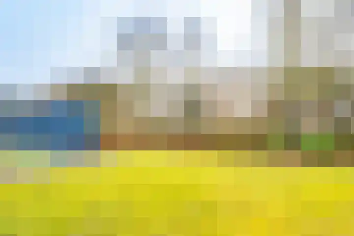 Agavedreef 47 Utrecht thumbnail 31