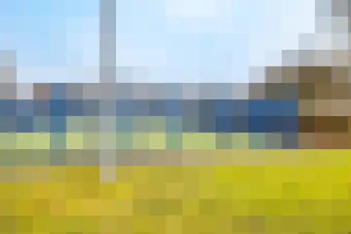 Agavedreef 47 Utrecht thumbnail 32
