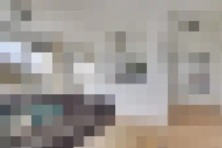 Agavedreef 47 Utrecht thumbnail 5