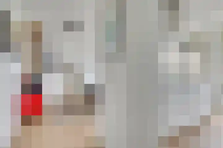 Agavedreef 47 Utrecht thumbnail 6
