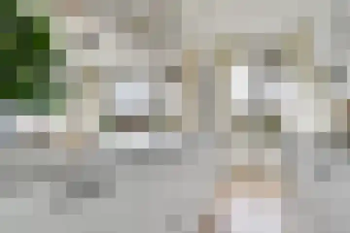 Agavedreef 47 Utrecht thumbnail 7