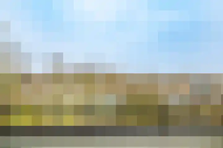 Agavedreef 47 Utrecht thumbnail 8