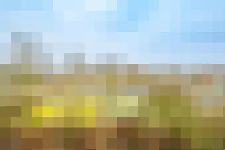 Agavedreef 47 Utrecht thumbnail 9