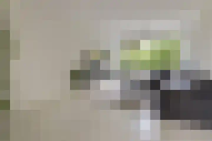 Agavedreef 65 Utrecht thumbnail 12