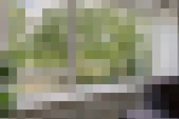 Agavedreef 65 Utrecht thumbnail 13