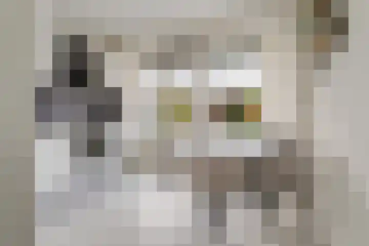 Agavedreef 65 Utrecht thumbnail 18