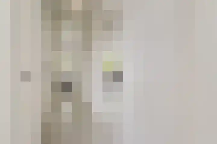 Agavedreef 65 Utrecht thumbnail 21