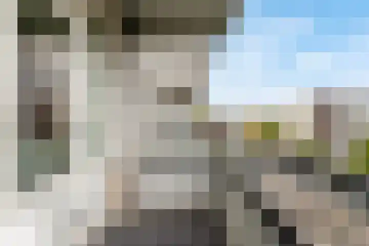 Agavedreef 65 Utrecht thumbnail 32