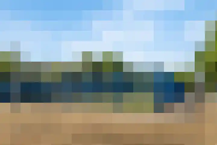 Agavedreef 65 Utrecht thumbnail 34