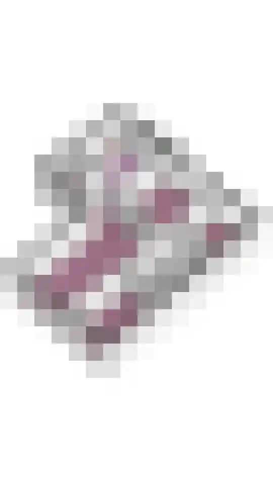 Agavedreef 65 Utrecht thumbnail 36