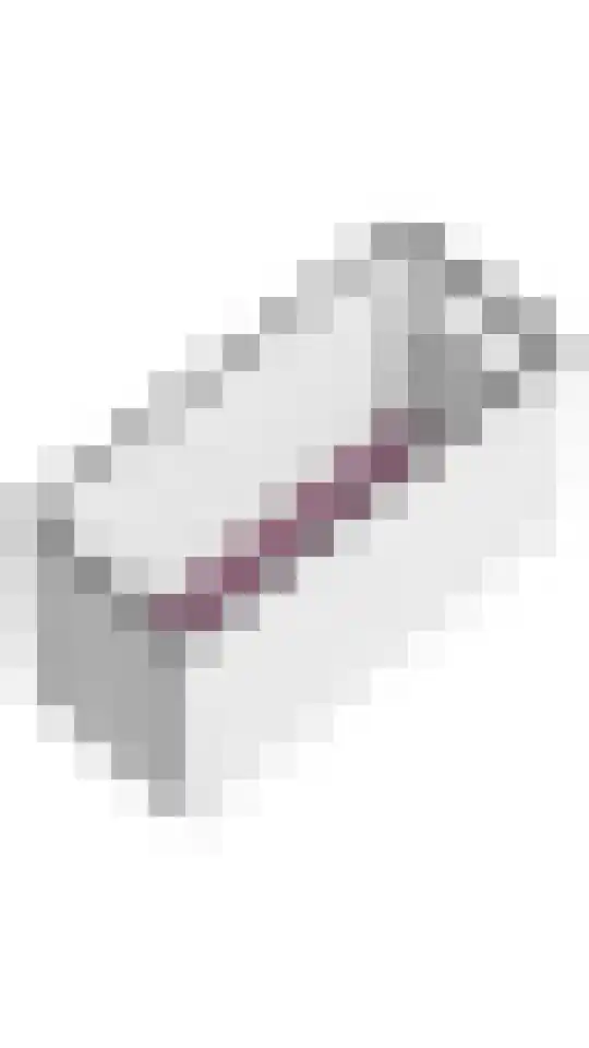 Agavedreef 65 Utrecht thumbnail 38