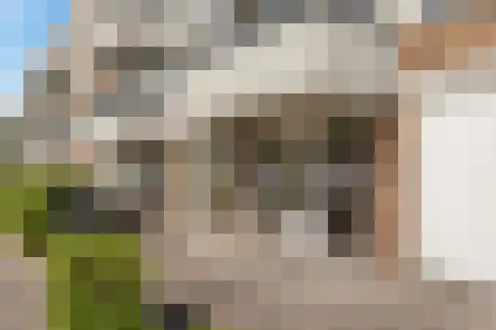 Agavedreef 65 Utrecht thumbnail 6