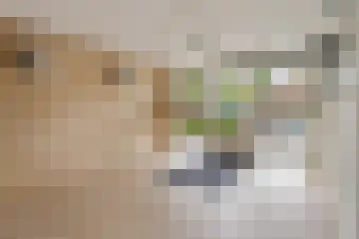 Agavedreef 65 Utrecht thumbnail 7