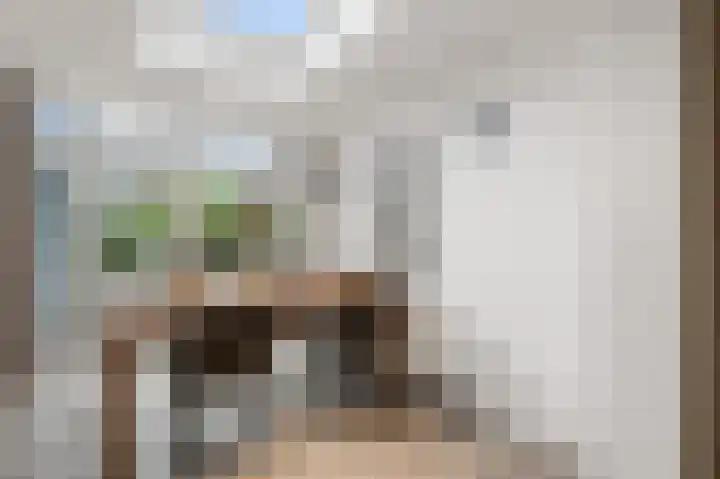 Agavestraat 11 Krommenie thumbnail 10