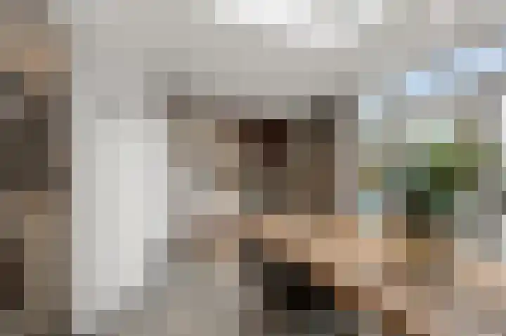 Agavestraat 11 Krommenie thumbnail 11