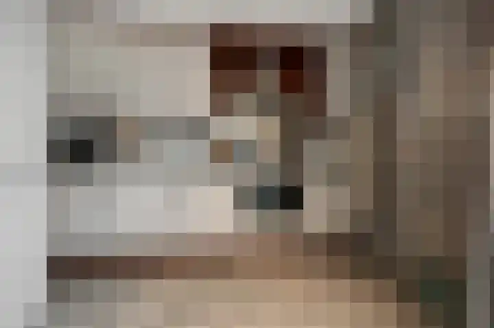Agavestraat 11 Krommenie thumbnail 12