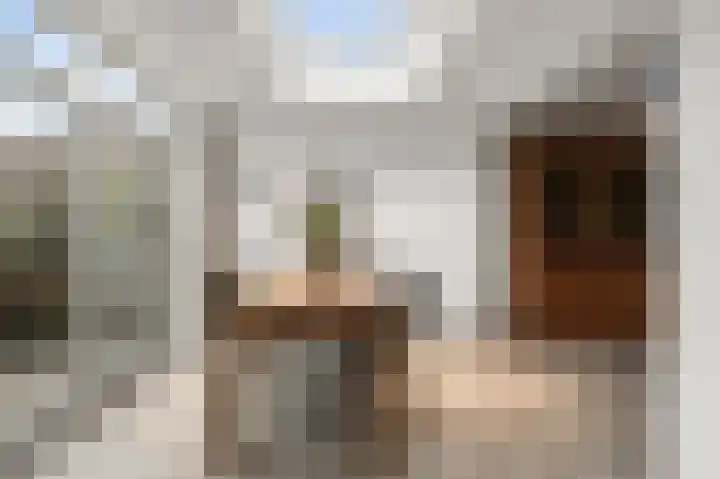 Agavestraat 11 Krommenie thumbnail 13