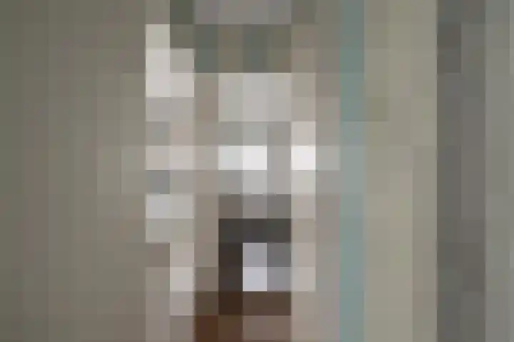 Agavestraat 11 Krommenie thumbnail 14