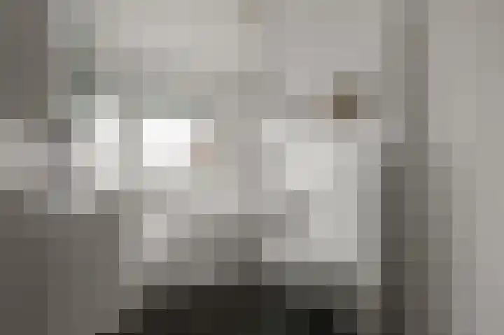 Agavestraat 11 Krommenie thumbnail 15
