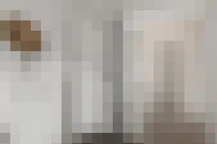 Agavestraat 11 Krommenie thumbnail 16