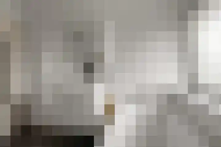 Agavestraat 11 Krommenie thumbnail 17