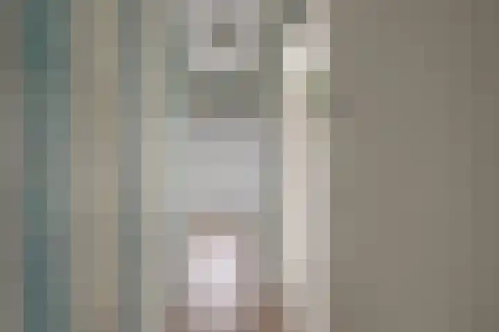 Agavestraat 11 Krommenie thumbnail 18