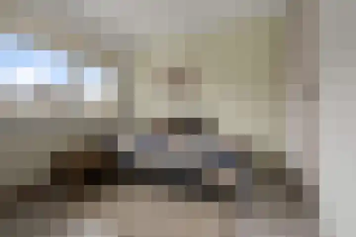 Agavestraat 11 Krommenie thumbnail 19