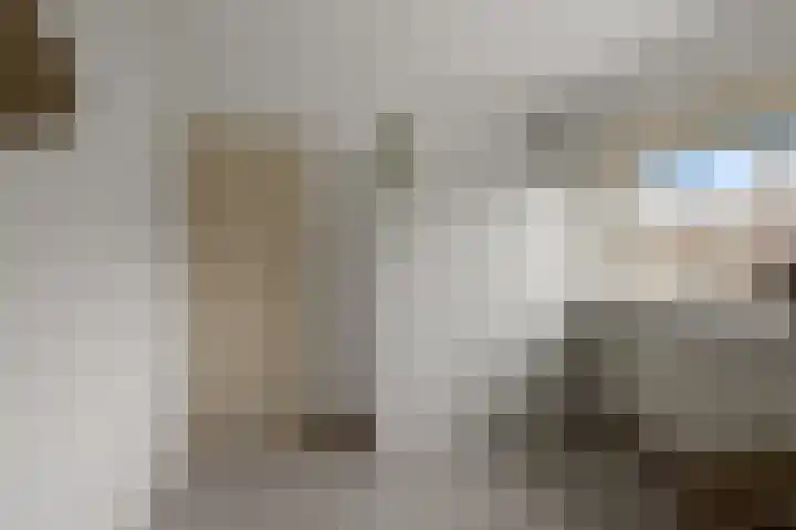 Agavestraat 11 Krommenie thumbnail 22