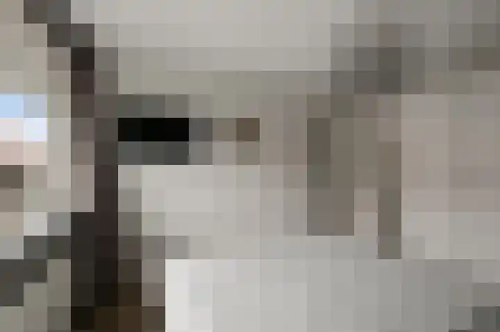 Agavestraat 11 Krommenie thumbnail 24