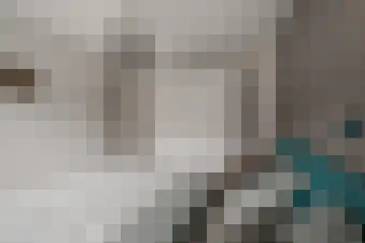 Agavestraat 11 Krommenie thumbnail 25