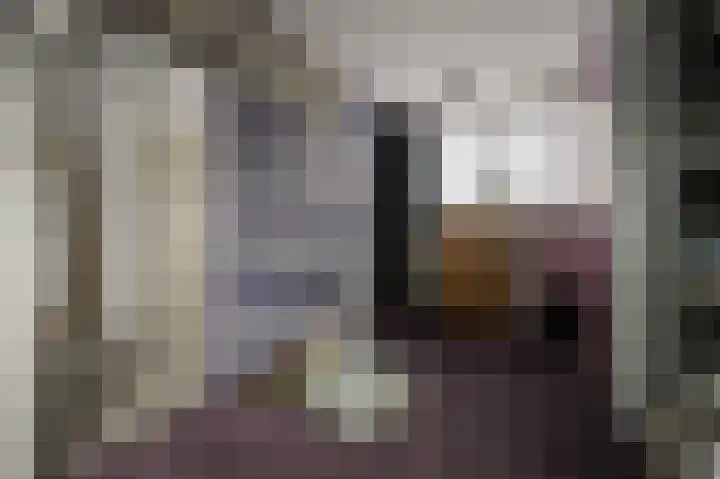Agavestraat 11 Krommenie thumbnail 26