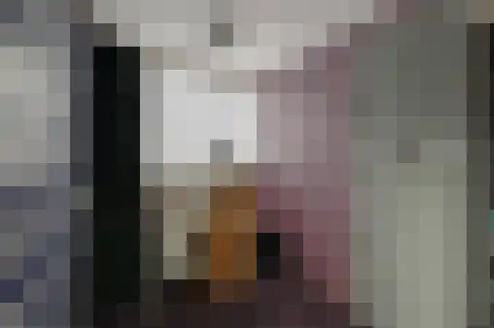 Agavestraat 11 Krommenie thumbnail 27
