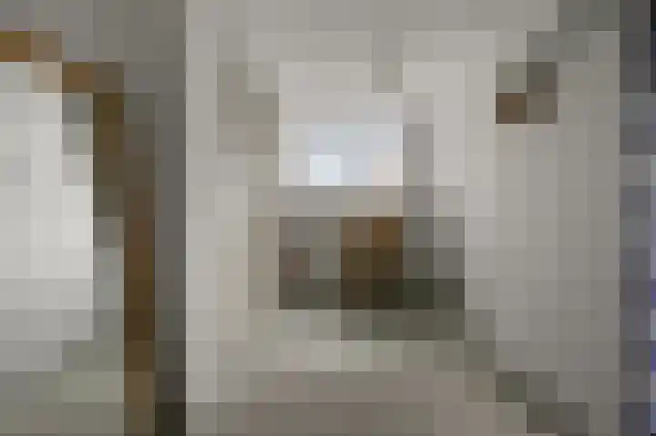 Agavestraat 11 Krommenie thumbnail 28