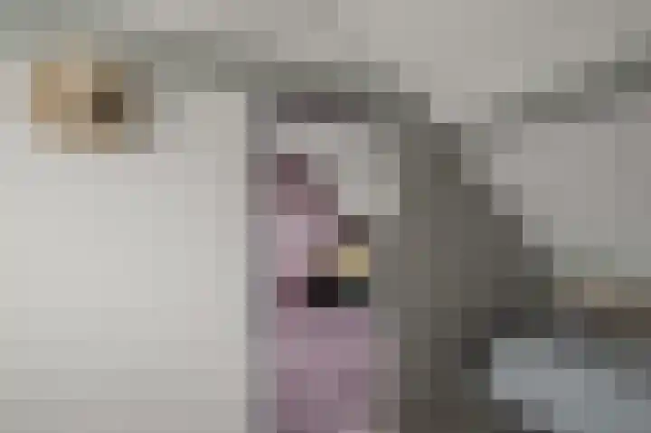 Agavestraat 11 Krommenie thumbnail 30