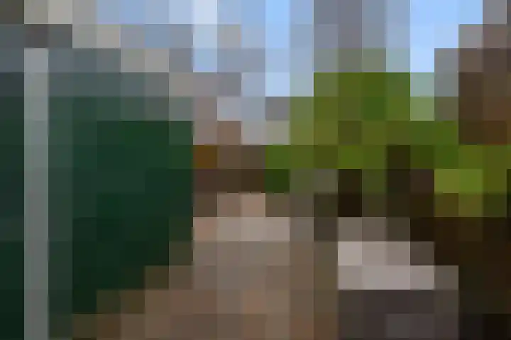 Agavestraat 11 Krommenie thumbnail 32