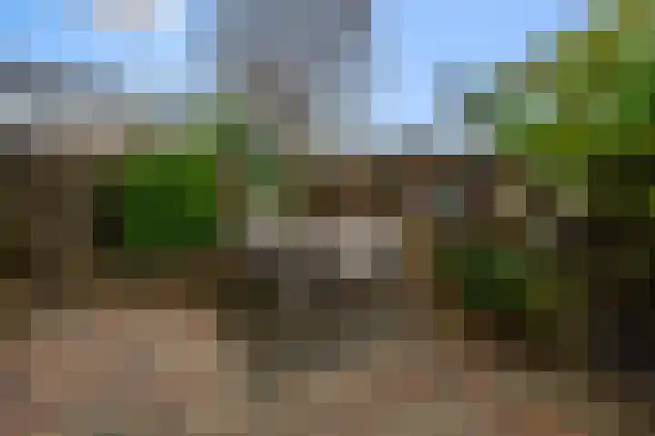 Agavestraat 11 Krommenie thumbnail 33