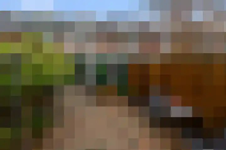 Agavestraat 11 Krommenie thumbnail 35