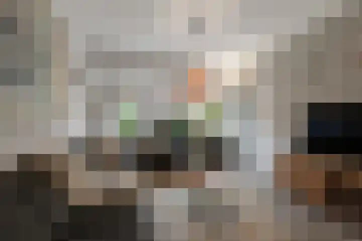 Agavestraat 11 Krommenie thumbnail 4