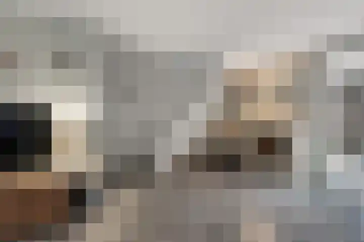 Agavestraat 11 Krommenie thumbnail 8